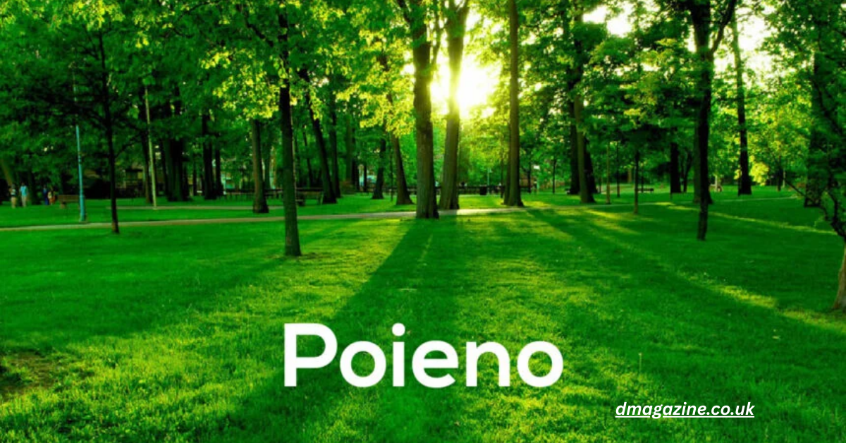 Poieno Explained: The Philosophy of Human Creation, Identity, and Meaning in a Digital World