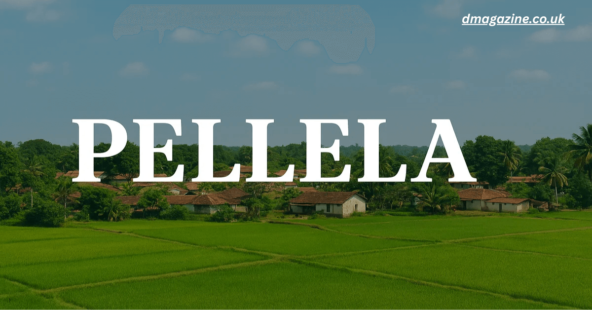 Pellela: The Complete Guide to the Village, Heritage, Surname, and Branding Potential 2025